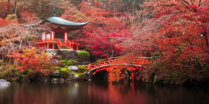 3840x2400 Pictures Kyoto Japan Autumn Nature Bridges park Pond 3840x2400