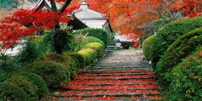 1244x700 Japan garden kyoto autumn fall wallpaper | 1920x1080 | 120989