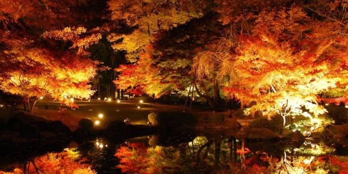 1280x1024 Autumn at Night in Ogikubo, Japan [1280 × 1024] : wallpaper