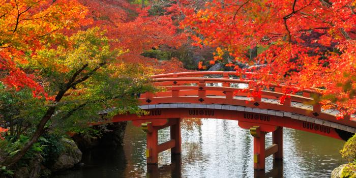 3840x2400 Picture Kyoto Japan Autumn Nature Bridges Pond Gardens 3840x2400