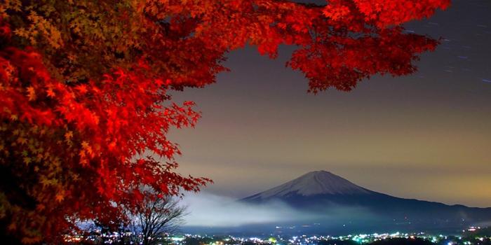 1920x1080 Japanese Nature Wallpaper (46+ images)