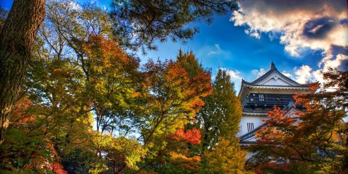 3554x1999 Japanese Castle, Autumn ❤ 4K HD Desktop Wallpaper for 4K Ultra HD