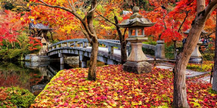 3840x2160 Bridge in Japan in Autumn 4k Ultra HD Wallpaper | Background Image
