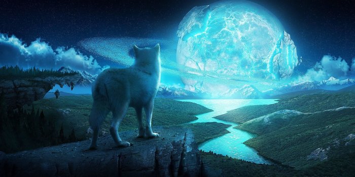 3293x1752 71+ Cool Wolf Wallpapers on WallpaperPlay