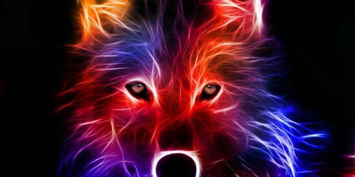 1024x768 Amazing Wolf Wallpaper - MadGhosts