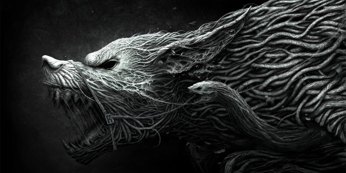 3840x2400 2997253 wolf wallpaper and background | Other | Tokkoro.com Amazing