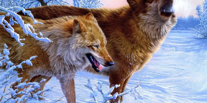 2560x1600 HD wallpaper: Amazing Wolves, paint, wolf | Wallpaper Flare