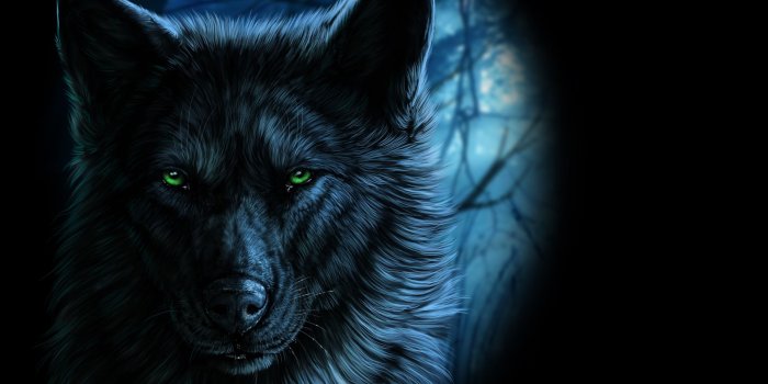 1920x1200 4K Wolves Wallpapers High Quality | Download Free
