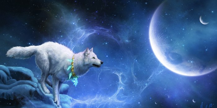 2560x1600 50+ Horse and Wolf Wallpapers - Download at WallpaperBro