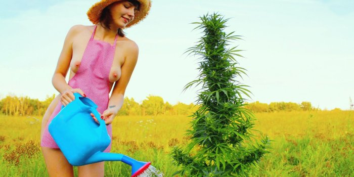 1920x1080 Full Hd Wallpapers Girls Hd Wallpapers Girls - Hd Wallpapers For