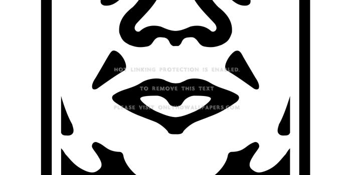 2550x3300 obey Shepard Fairey