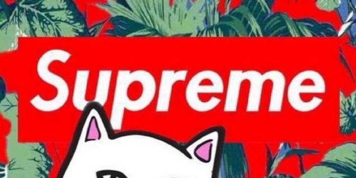 717x1280 Supreme cat Wallpaper by blackyoshi_1304 - 8f - Free on ZEDGE™