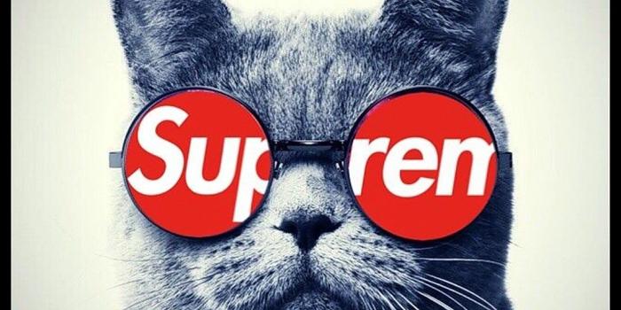 1080x1920 Supreme ❤ | supreme in 2019 | Supreme iphone wallpaper, Hypebeast