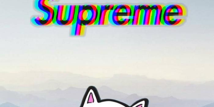 720x1280 Gato Troll Supreme Wallpaper by brandonpv - 71 - Free on ZEDGE™