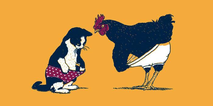 1242x2208 72+ Caterpillar Logo Wallpapers on WallpaperPlay