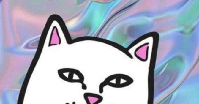 670x1334 Laura Jauhiainen on // iphone wallpaper | Ripndip wallpaper