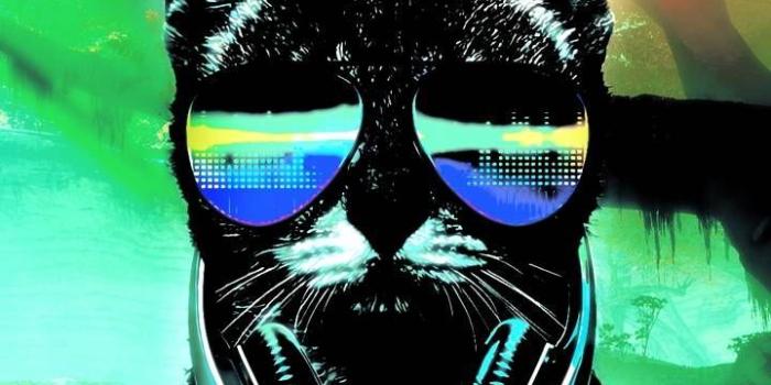 720x1280 Forest Cat | Wallpapers | Cat wallpaper, Iphone wallpaper, Cat