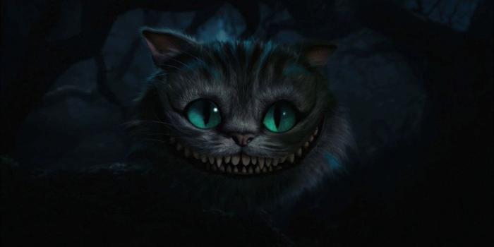 1920x1200 75+ Cat Background Wallpapers on WallpaperPlay