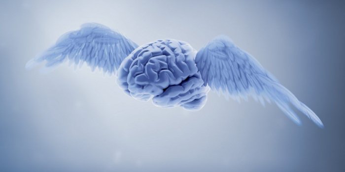 1200x675 medical wallpaper â' download free cool hd backgrounds for; brain