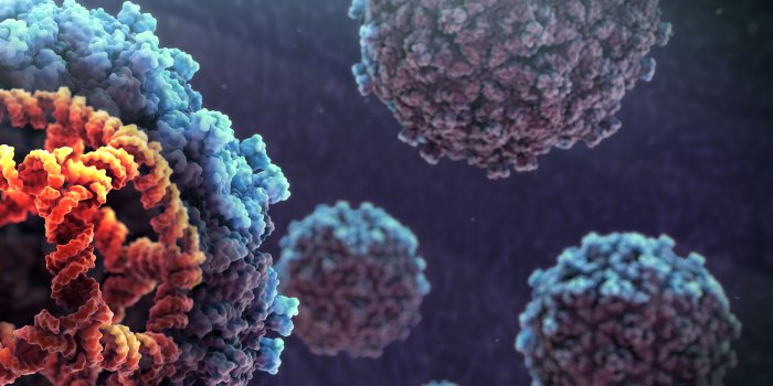 2048x1536 Medical Animation Wallpapers - Medical & Scientific Video Animation