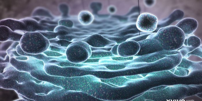 1366x768 Best 59+ Medical Wallpapers for Desktop on HipWallpaper | Beautiful