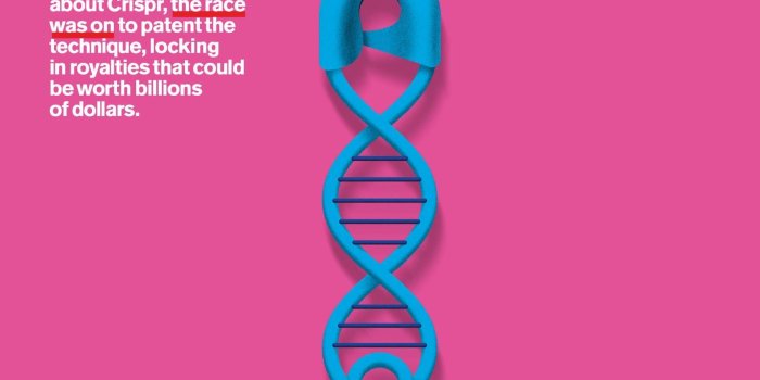 1762x1323 Brain Storm,cool, Abstractionmedical, Science, Medicine, Detail