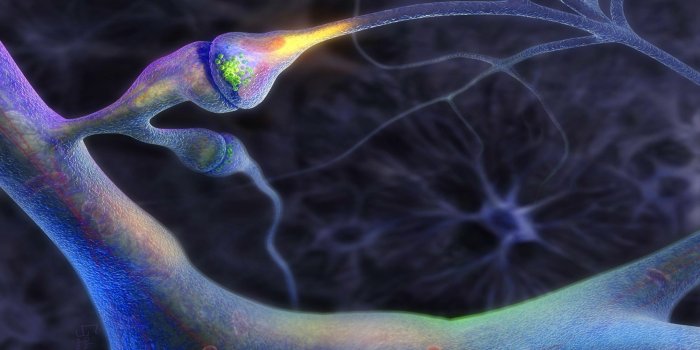 2560x1600 Brain Wallpaper HD (67+ images)