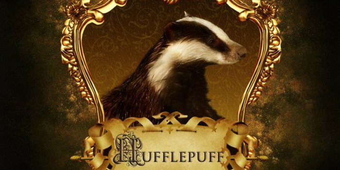 859x929 Hufflepuff Wallpaper Laptop ✓ The Galleries of HD Wallpaper