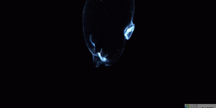 1524x800 Face Glitch Wallpaper | Livewallpaper.io