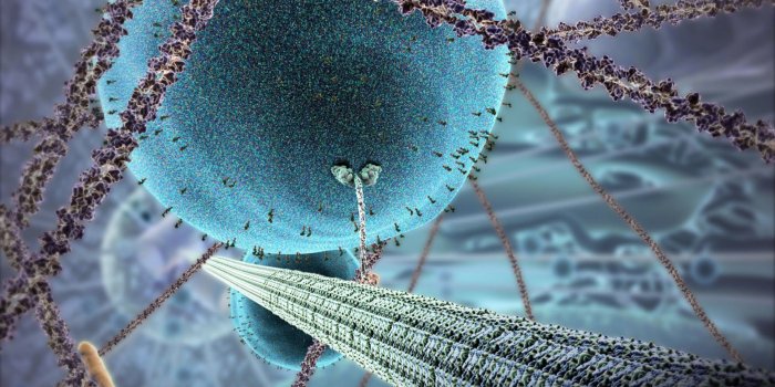 1920x1200 Images of Cool Medical Wallpapers - www.industrious.info