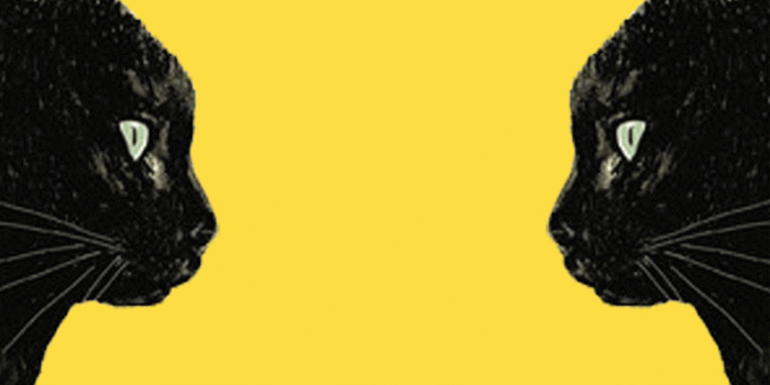 792x1419 i really like wallpapers — | Aminé - Caroline Lyrics Feel free to use…