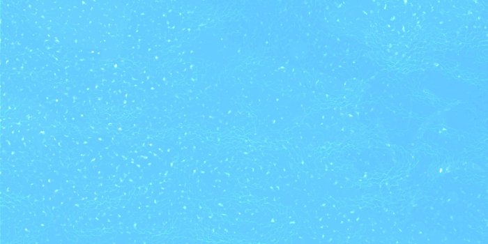 2560x1440 2560X1440 Blue Wallpapers - Top Free 2560X1440 Blue Backgrounds