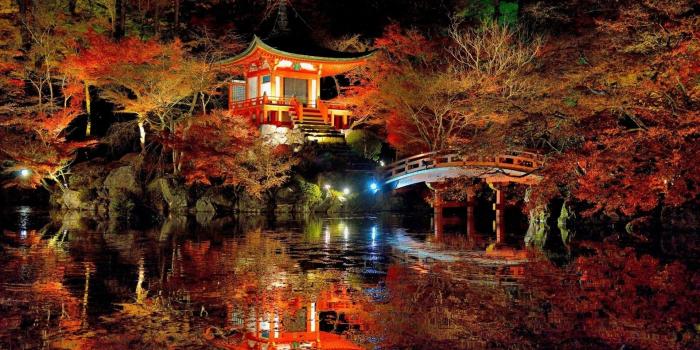 1920x1200 59+ Japan 4K Wallpapers on WallpaperPlay