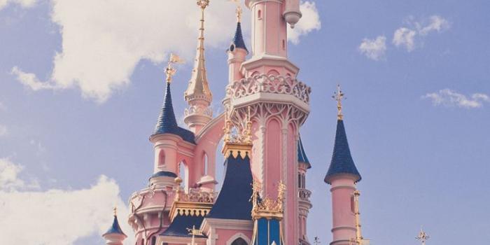 729x1094 Do You believe in Magic* | Disney | Disneyland paris, Disney