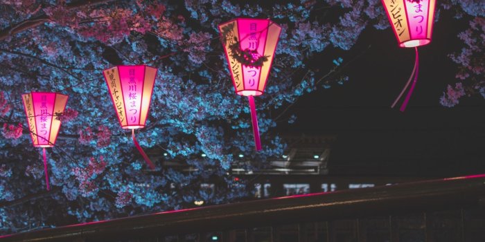 1600x1200 1600x1200 Japan Night Cherry Blossom Trees Lantern Glowing Night