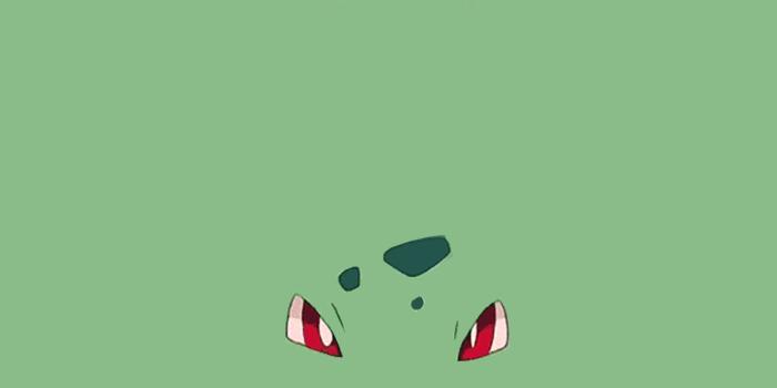 1920x1280 Bulbasaur Wallpapers, Computer Bulbasaur Wallpapers, Desktop