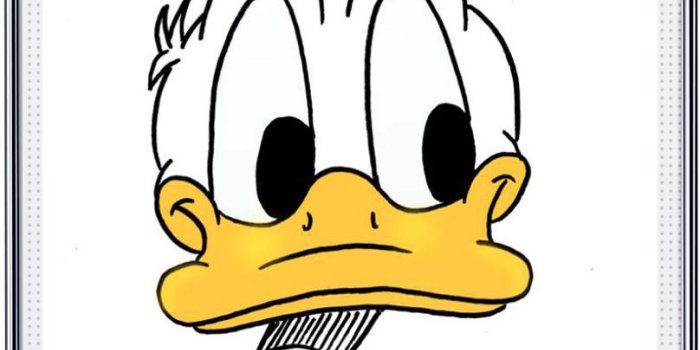 808x1587 HD Donald Duck Wallpapers - Daisy for Android - APK Download
