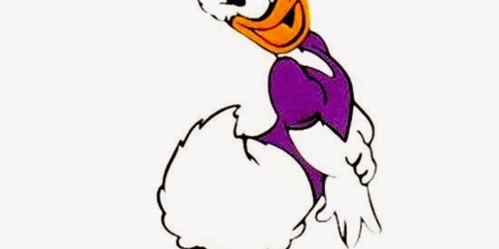 1100x1100 Disney HD Wallpapers: Daisy Duck HD Wallpapers