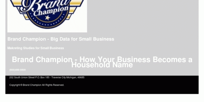 1024x768 Brand Champion Competitors, Revenue and Employees - Owler Company