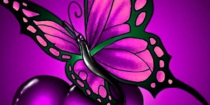 720x1280 Purple Hearts and Butterfly Wallpapers - Top Free Purple Hearts and