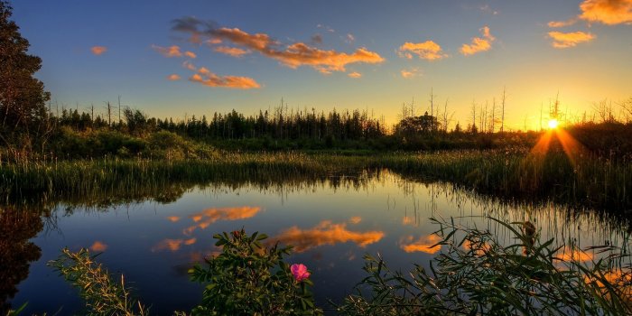 2560x1600 65+ Spring Sunset Wallpapers - Download at WallpaperBro