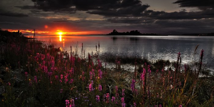 2560x1600 Beautiful Dark Spring Sunset Wallpapers - 2560x1600 - 1392668