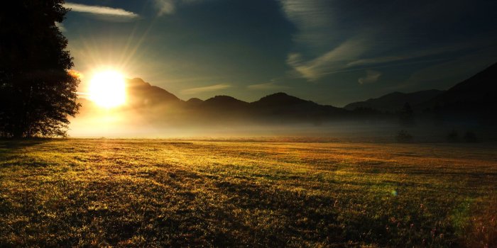 2560x1600 Download Sunset over a field of spring wallpapers and images