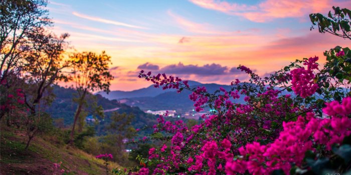 1920x1080 5 summer relay games for family reunions | Flowers | Spring