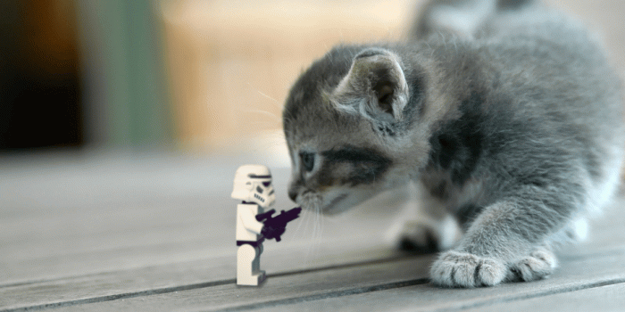 1920x1200 39+] Lego Stormtrooper Wallpaper on WallpaperSafari