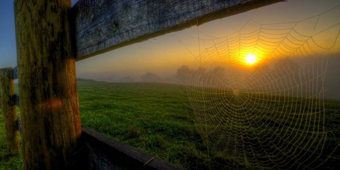 1332x850 Wallpaper forest, the sky, trees, sunset, mountains, nature, spring