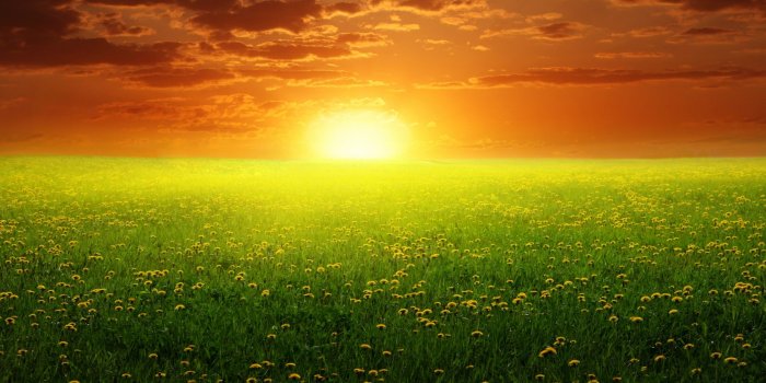 2560x1600 Peaceful Spring Sunset widescreen wallpaper
