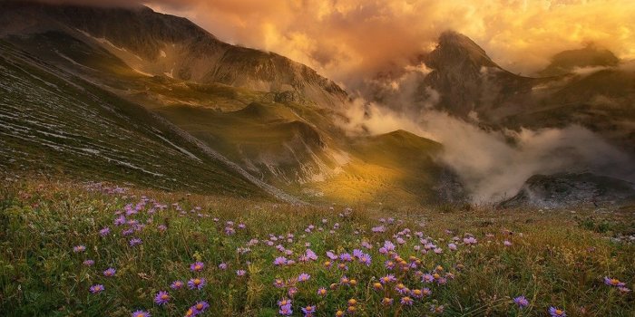 1300x911 2838477 mountain sunset clouds flowers valley spring nature