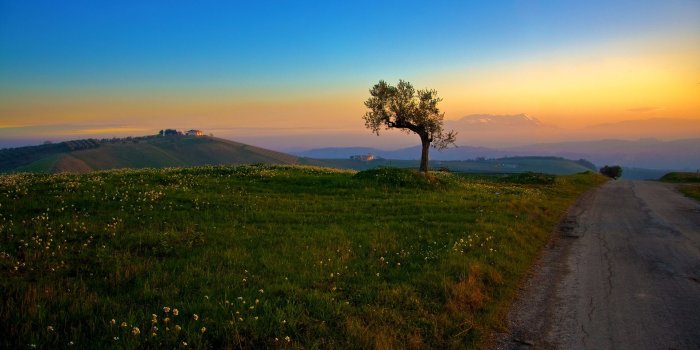 1920x1080 Spring Sunset Wallpaper 1920x1080