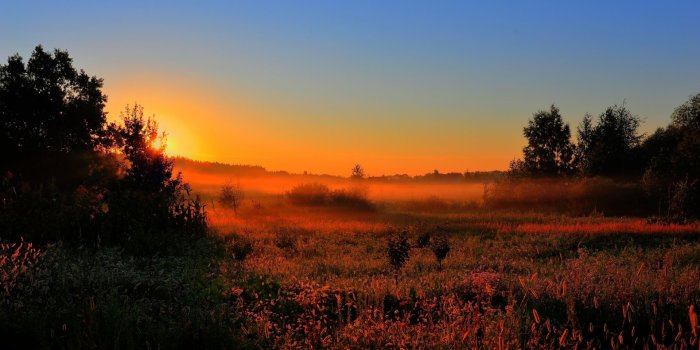 1920x1080 Download Spring sunset wallpapers and images wallpapers pictures